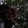 eden - @edennnwheelerr - TikTok