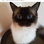 Edenwilkinson - @_edenwilkinson_ - Instagram