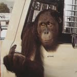 Eden will - @eden_will8000 - Instagram
