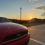 Eden Wolfe - @sway_s197 - Instagram