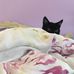Eden Yang - Facebook