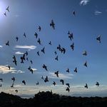 haoyang Chen - @eden__yang - Instagram
