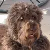 keden.yoder - @keden.yoder - TikTok