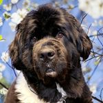 Barb Edens Denis - @barbedens - Instagram