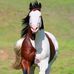 Eder Araujo - Facebook