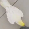 edercarvalho575 - @edercarvalho575 - TikTok