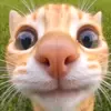Labomba97 - @eder.flores923 - TikTok