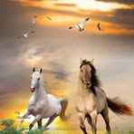 Eder Gomez - Facebook