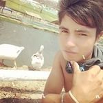 Eder Guevara - @guevaraeder - Instagram