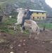 Eder Ivan Zapata Paredes - Facebook