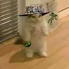 Edgar Abraham - @edgar.abraham1 - TikTok