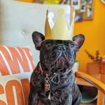 🖤 Edgar Allen Po' Boy 🖤 - @edgarallenpoboy - Instagram