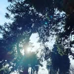 Edgar.Allen.Poe - @edgar.allen.poe09 - Instagram