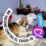 Edgar Ames - @amesedgar - Instagram