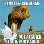 Edgar Ames Vilchez - @edgaramesvilchez - Instagram