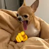 Edgar Balbuena - @edgar.balbuena06 - TikTok