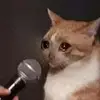 Edgar Barron - @e.barron - TikTok