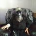 Edgar Bates - Facebook
