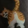 Edgar Baxter - @edgar.baxter - TikTok