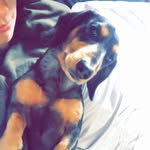Edgar Baxter-Phillips - @edgarthedoxie - Instagram