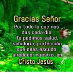 Edgar Brenes Perez - @edgarbrenesperez - Instagram