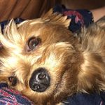 Gaynor Brock-Edgar - @gaynorbrockedgar - Instagram