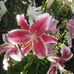 Bruce Edgar - Facebook