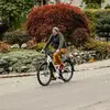 Fred Fred - @edgar_bruce_64a_2109 - TikTok