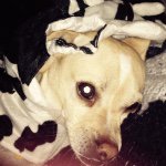 Edgar Burch - @edgarthedawg - Instagram