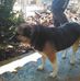 Edgar Burge - Facebook