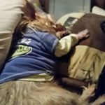 Edgar Burge - @burgeedgar - Instagram