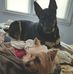 Edgar Burge - Facebook