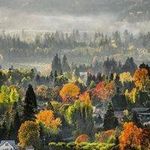 Susan Gomez - @edgarburke1854646 - Instagram