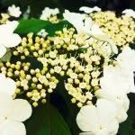Edgar Burns - @edgarl7burns8y - Instagram