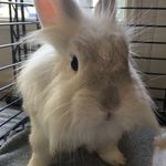 Edgar R. Burroughs🐇 - @edgarrburrows - Instagram