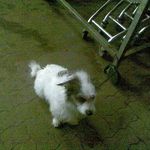 Edgar Buschkowiak - @edgarbuschkowiak - Instagram