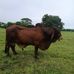 Edgar Caicedo - Facebook