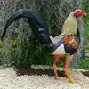 Edgar Cali - @edgar.cali3 - TikTok