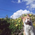 Meme 🐱 Edgar - @edgar.call_mememe - Instagram