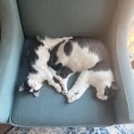 Edgar & Calvert - @edgar_and_calvert - Instagram
