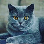 Edgar Carias - @edgarcarias23 - Instagram