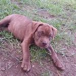 Edgar Carias - @edgaranibal93 - Instagram