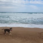 Edgar Carrera - @edgar1974carrera - Instagram