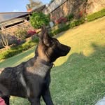 Edgar Ceron - @edgar.ceron.716195 - Instagram