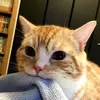 Edgar_Cross - @Edgar_Cross - TikTok