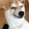Edgar Crotch - @edgarcross - TikTok