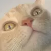Edgar Eli - @realedgareli - TikTok