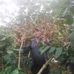 Edgar Enciso - Facebook