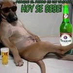 Edgar Erickson - @rascabuches3000 - Instagram