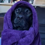 Poe Edgar Erickson - @theyungpoe - Instagram